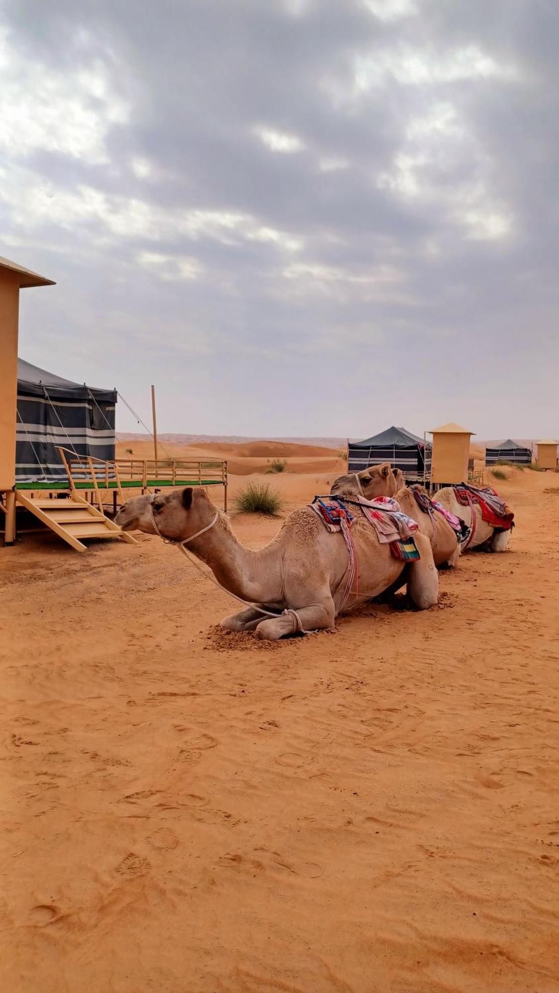 Sunrise Desert Local Private Camp Badīyah المظهر الخارجي الصورة